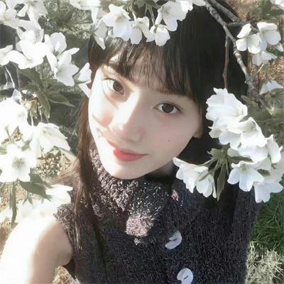 团子大家族第一季